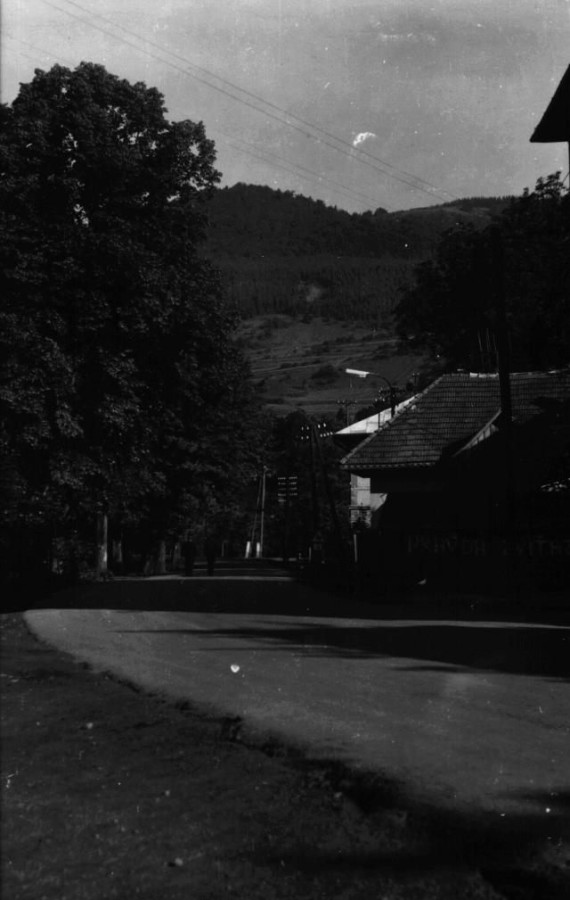 Cestička
