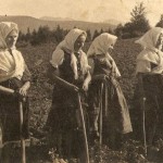 Ženy na roli